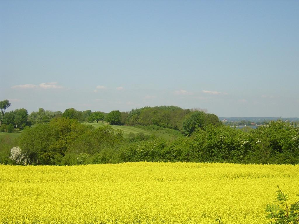 Schulwald Appartement Westerholz Buitenkant foto